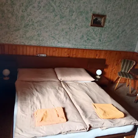 Casa de hóspedes Penzion U Skrblika