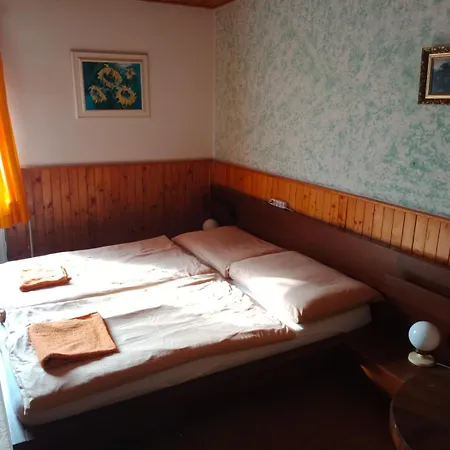 Guest house Penzion U Skrblika *